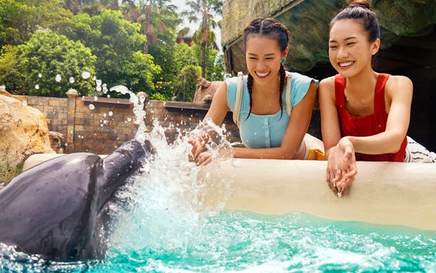 Women interacting with a dolphin at the Dolphin Encounter Show.