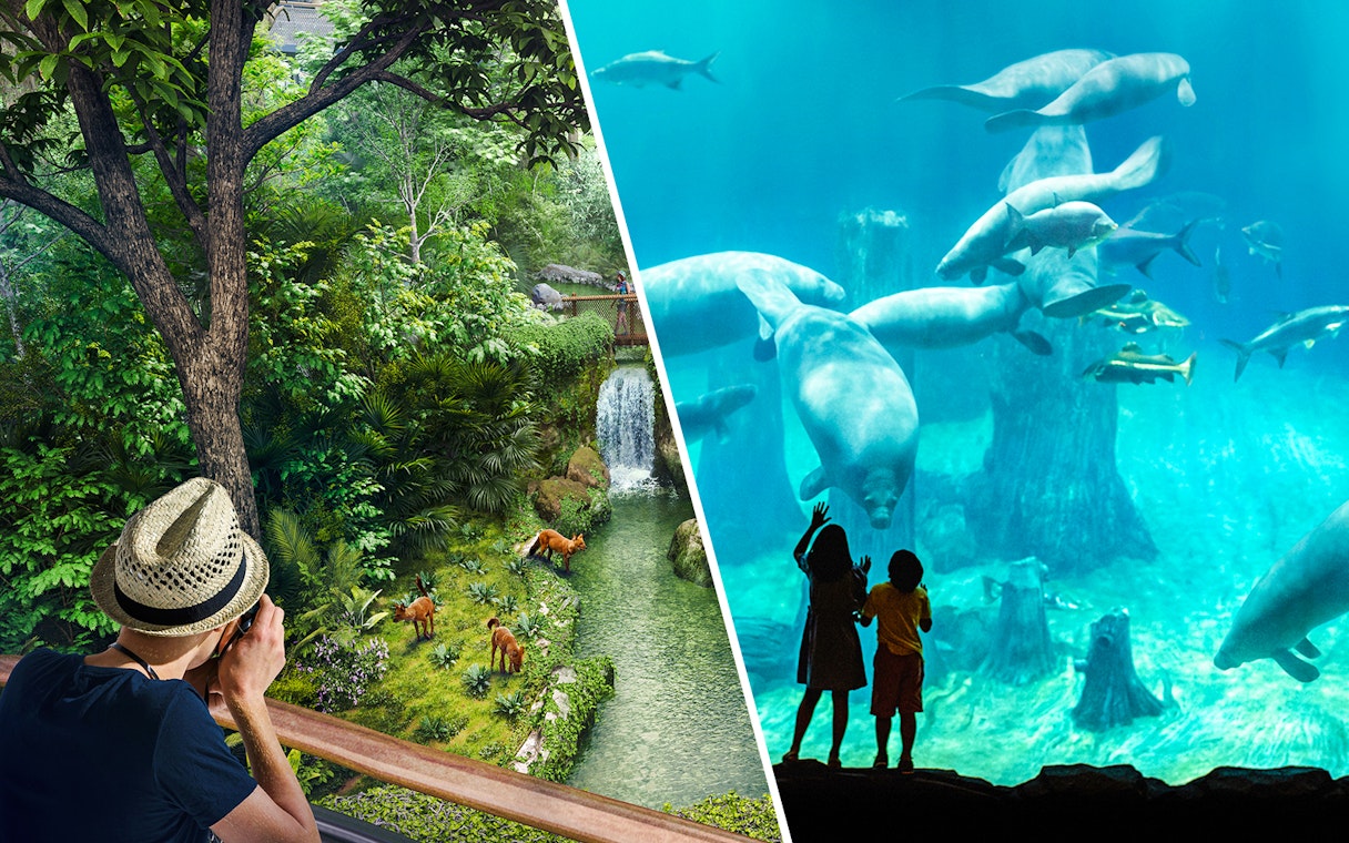 Rainforest view with deer and waterfall; children watching manatees in an aquarium.