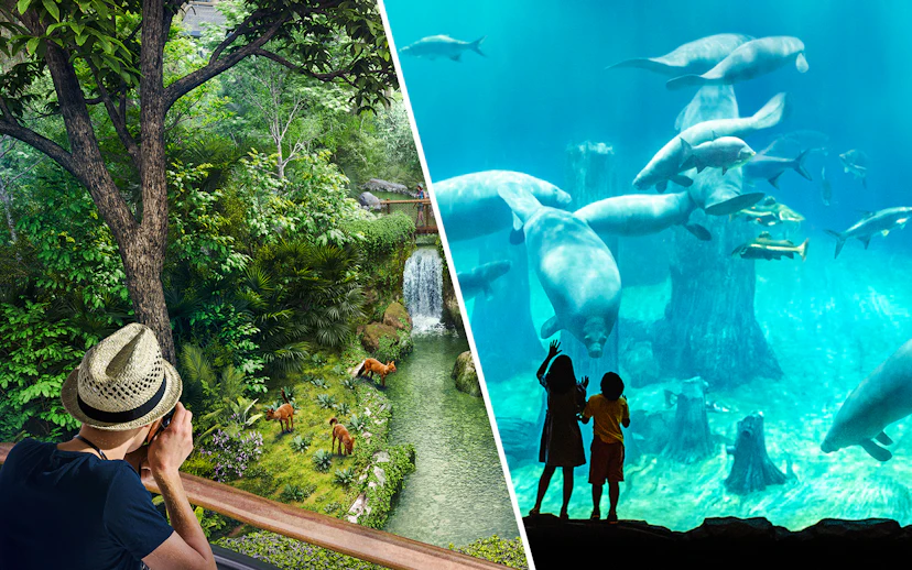 Rainforest view with deer and waterfall; children watching manatees in an aquarium.