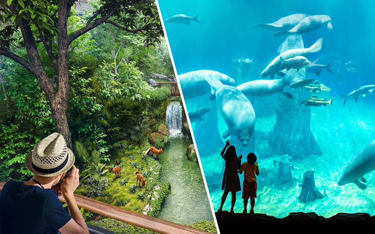 Rainforest view with deer and waterfall; children watching manatees in an aquarium.