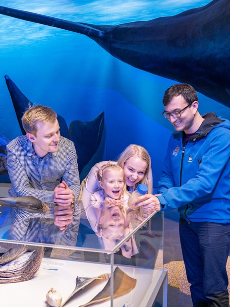 Family exploring whale exhibits at Whales Museum, Iceland.