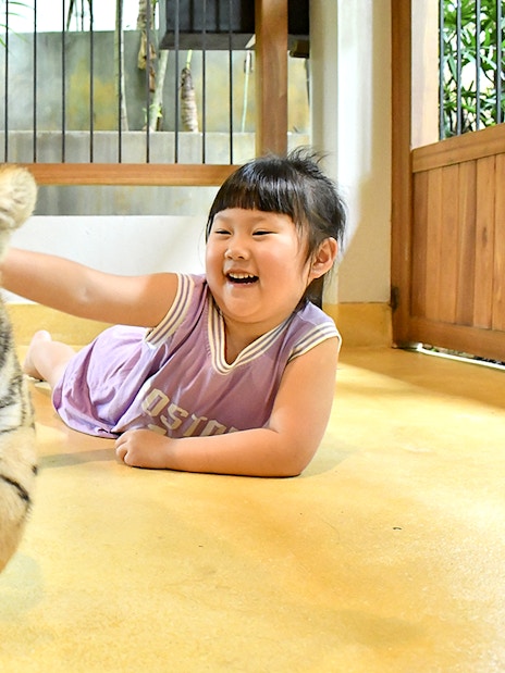 Guest interacting with a tiger cub at Tiger Park Phuket.