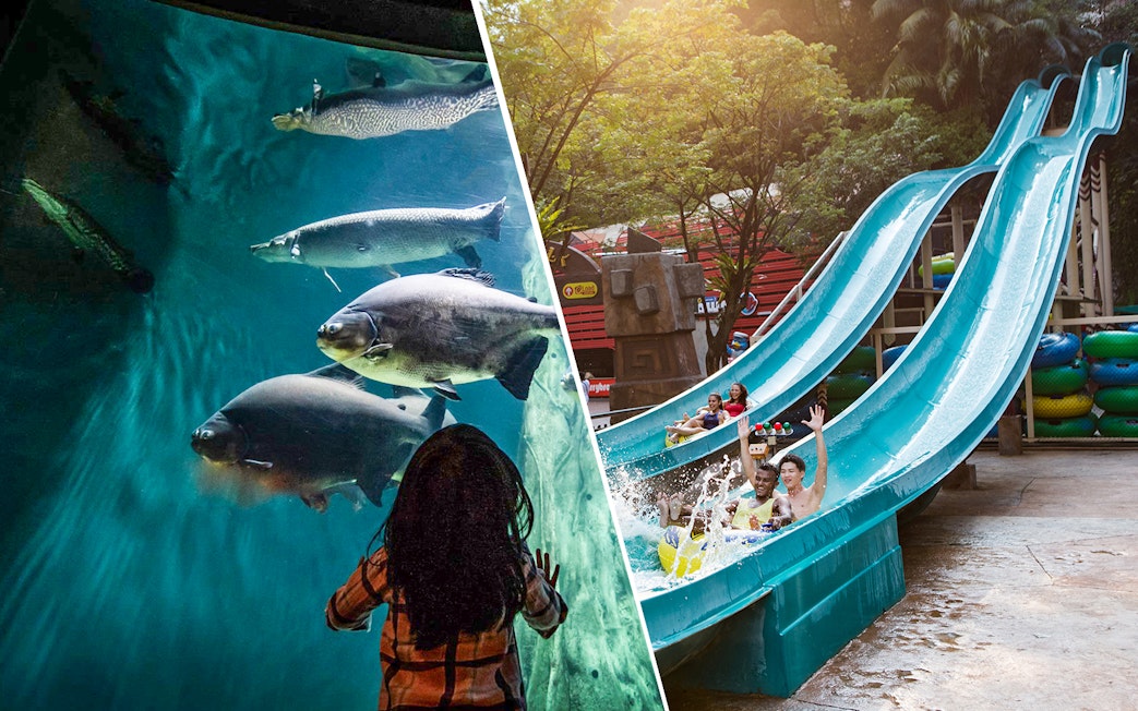 Aquaria KLCC aquarium with fish and Sunway Lagoon water slide with people enjoying rides.