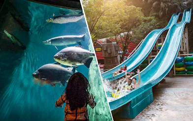 Aquaria KLCC aquarium with fish and Sunway Lagoon water slide with people enjoying rides.