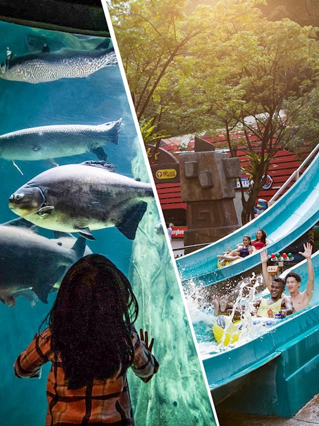 Aquaria KLCC aquarium with fish and Sunway Lagoon water slide with people enjoying rides.