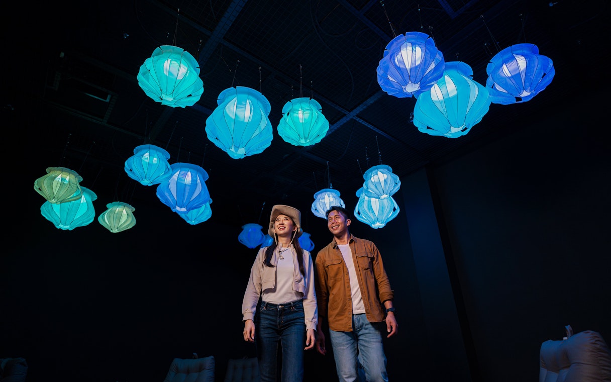 Tourists walking under glowing lanterns in the Enchanted Forest exhibit.