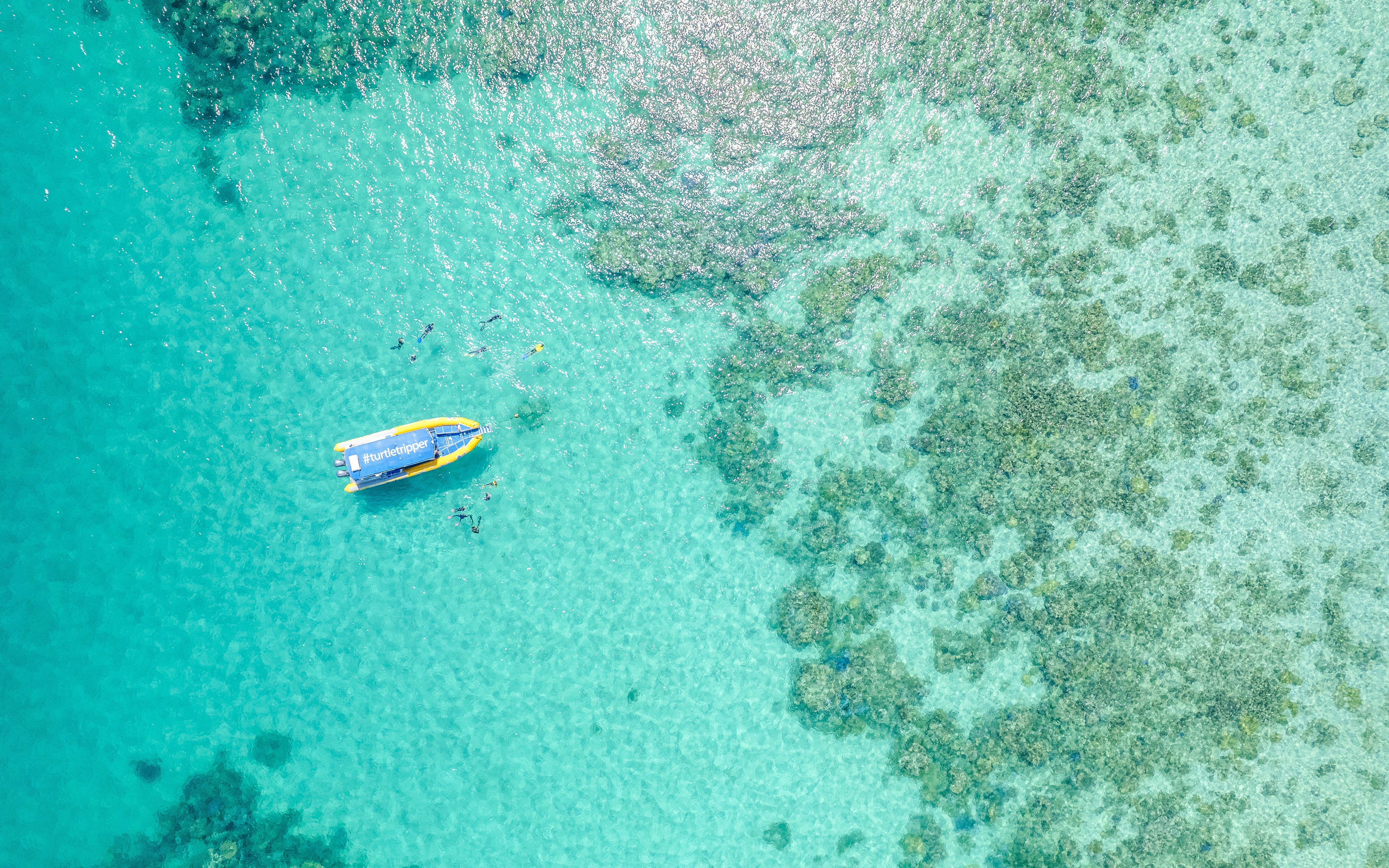 Aerial view of snorkelers near a boat on the Great Barrier Reef tour.