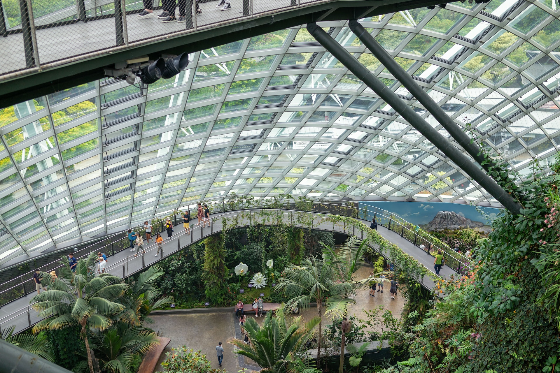 Cloud Forest opening hours