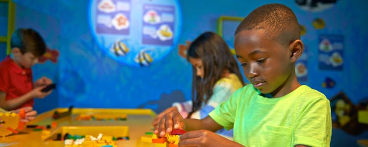 Legoland Master Builder Academy