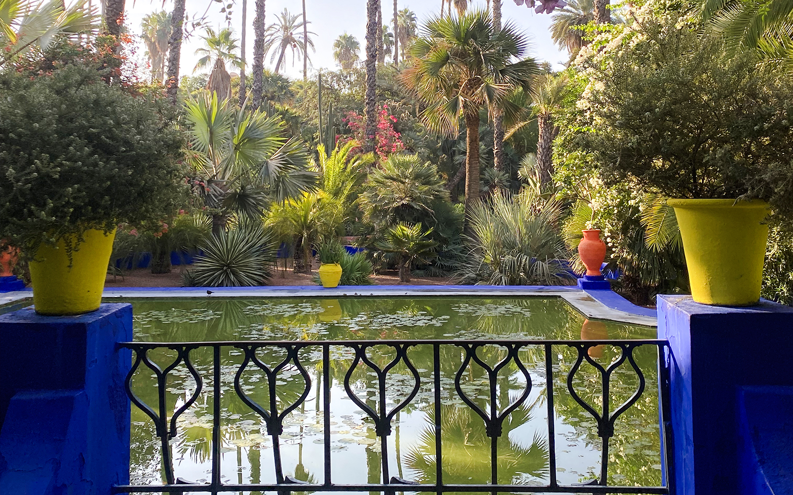 Jardin Majorelle pond with vibrant yellow pots and lush greenery in Marrakech.