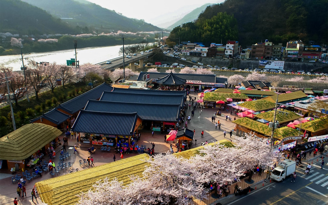 Cherry blossom festival in a Korean village with traditional rooftops and market stalls.