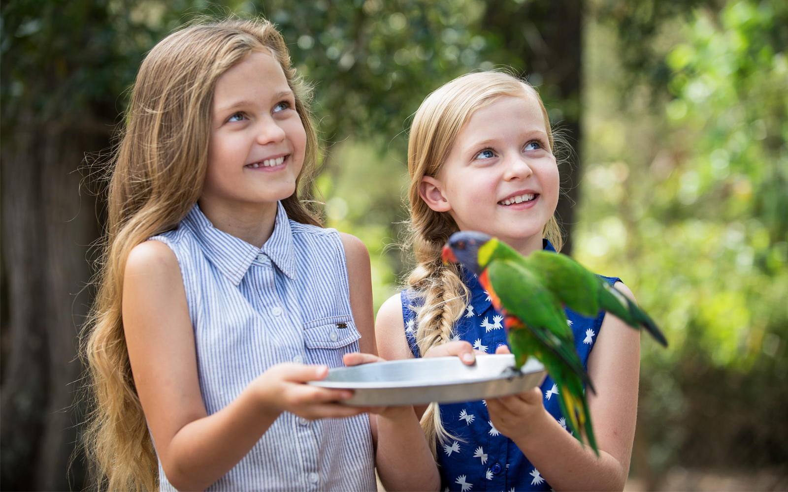 Children holding a tray with a bird at Paradise Country.
