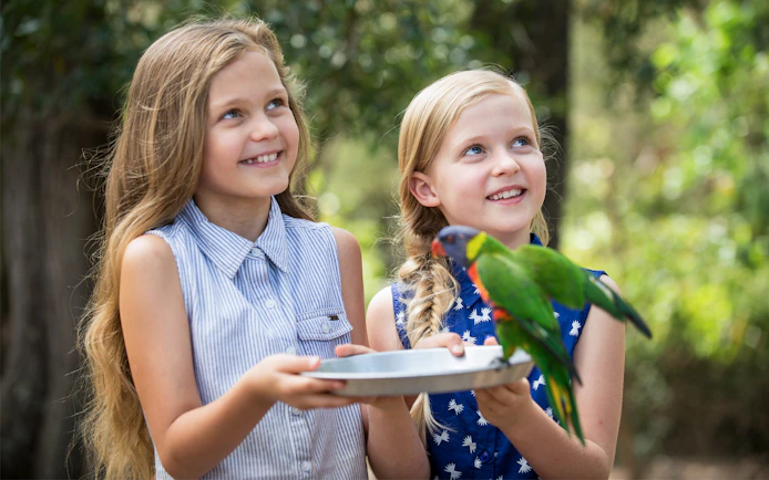 Children holding a tray with a bird at Paradise Country.