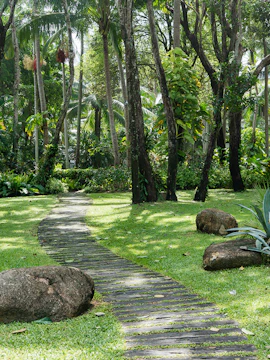 Winding path through lush greenery at Phuket Botanic Garden.