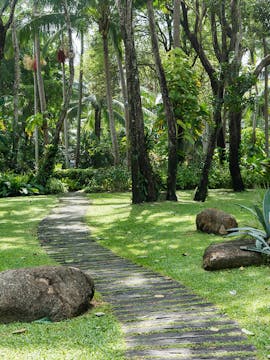 Phuket Botanic Garden