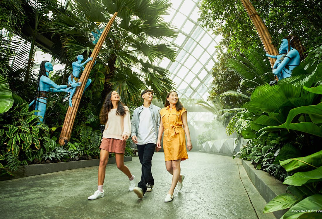 Tourists walking near Supertree Grove at Gardens by the Bay, Singapore.