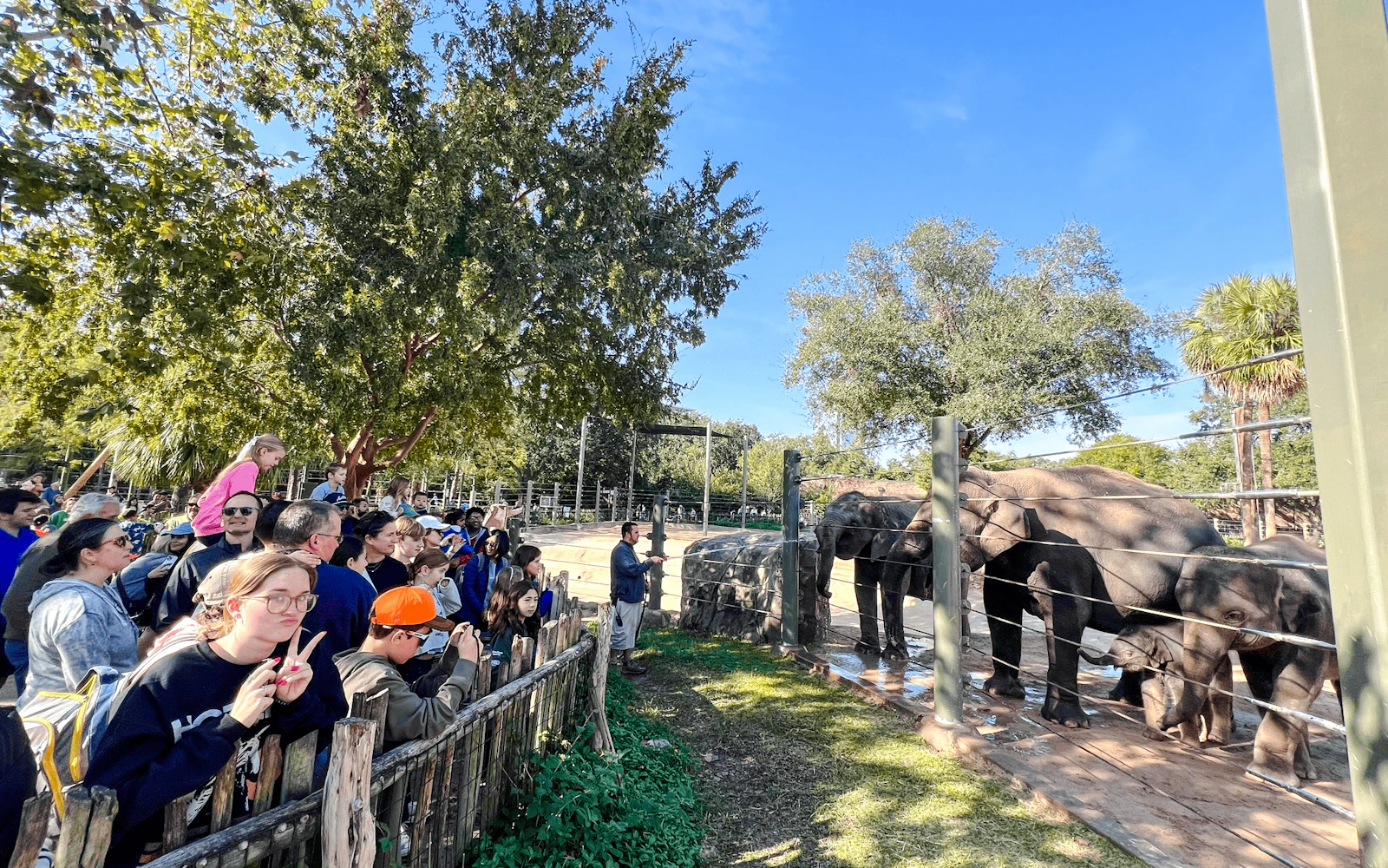 Houston Zoo Admission Ticket (Product 55984)