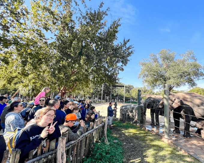 Houston Zoo Admission Ticket (Product 55984)