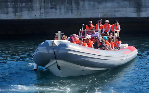 Speedboat with passengers in life jackets on Madeira dolphin and whale watching tour.
