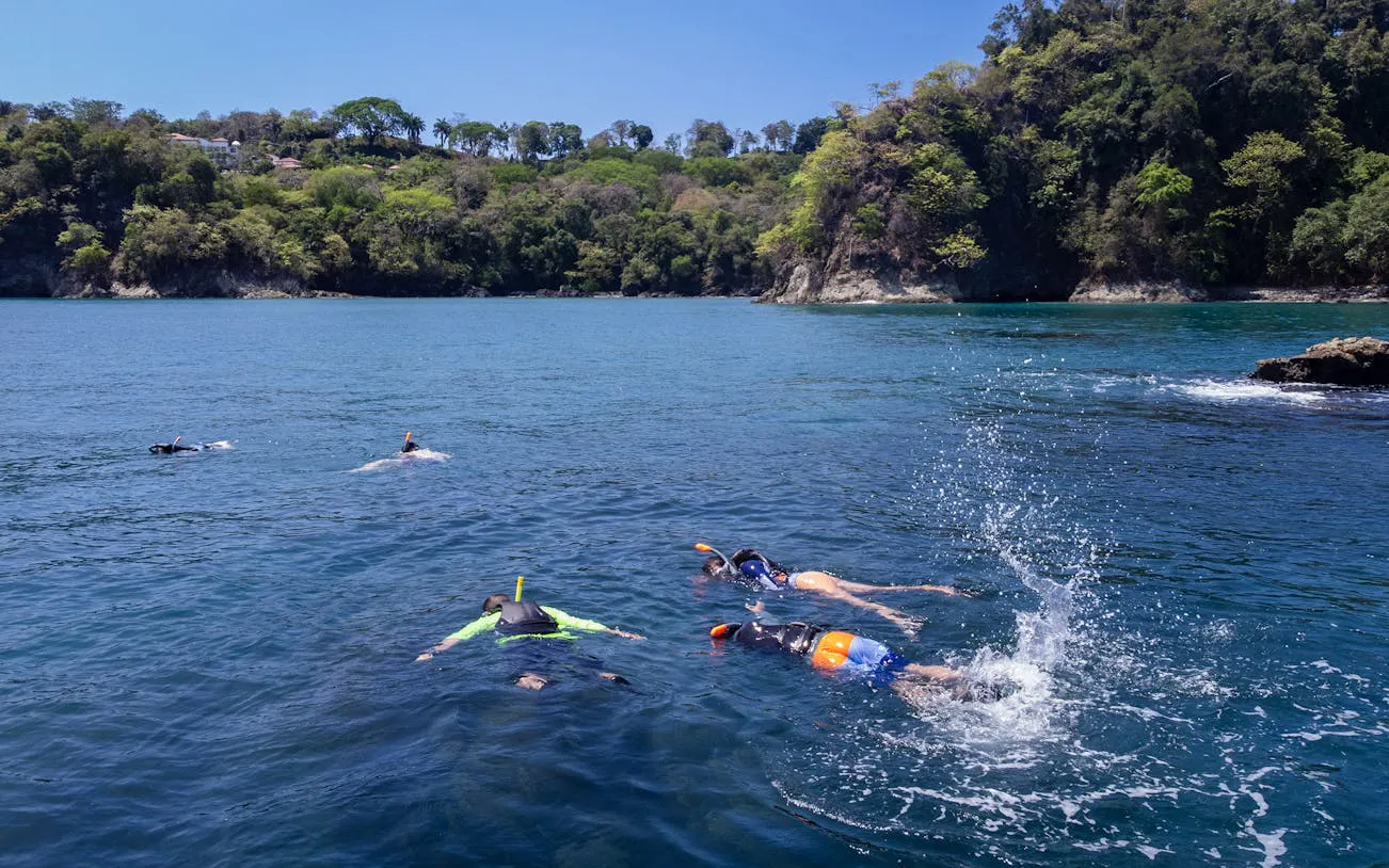 Manuel Antonio Ocean Kayaking and Snorkeling Tour with Hotel Transfers, Lunch or Dinner, and Bilingual Guide Image 10
