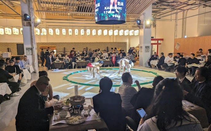 Sumo wrestlers practicing at Ochiizumibeya with audience dining on Chanko-Nabe hot pot.