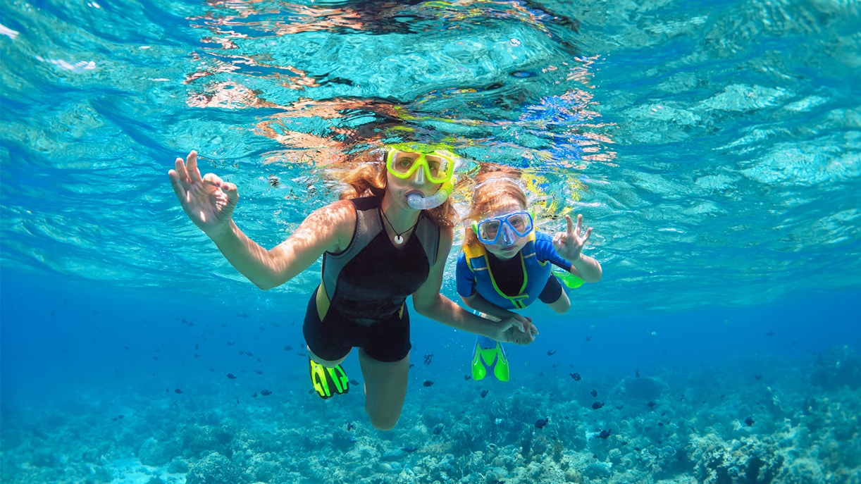 Tourists snorkelling over coral reefs