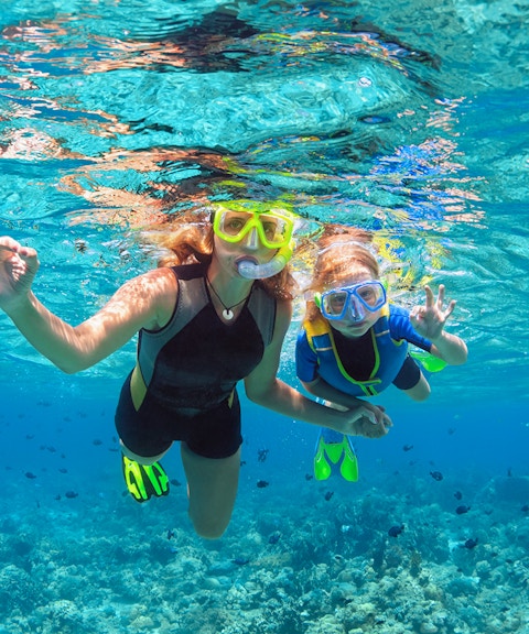 Tourists snorkelling over coral reefs at Sesimbra Beach, Portugal.
