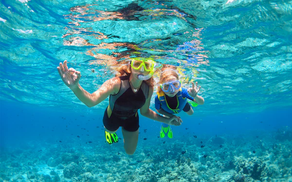 From Gold Coast: Tangalooma Wrecks Snorkel, Clear Kayak, & 4WD Desert Tour with Lunch