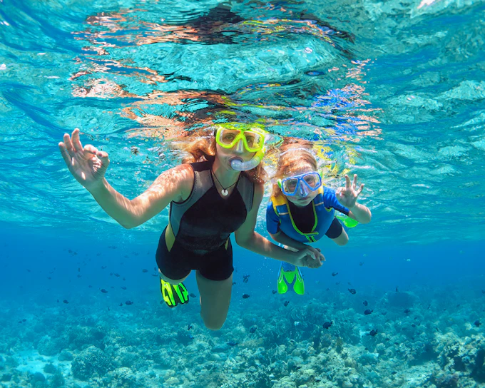 From Gold Coast: Tangalooma Wrecks Snorkel, Clear Kayak, & 4WD Desert Tour with Lunch