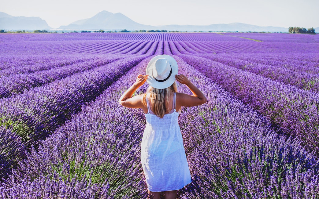 Woman in white dress standing in lavender fields, Provence, France.
