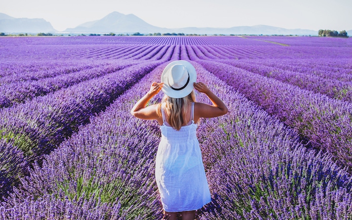 Woman in white dress standing in lavender fields, Provence, France.