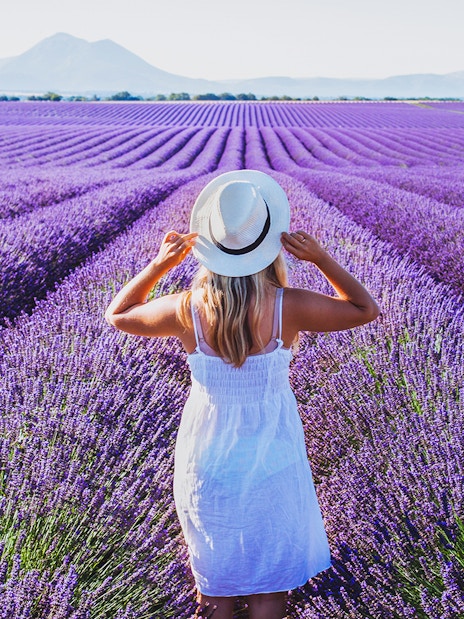 Woman in white dress standing in lavender fields, Provence, France.