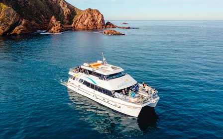 Cape Woolamai Morning Cruise at Phillip Island