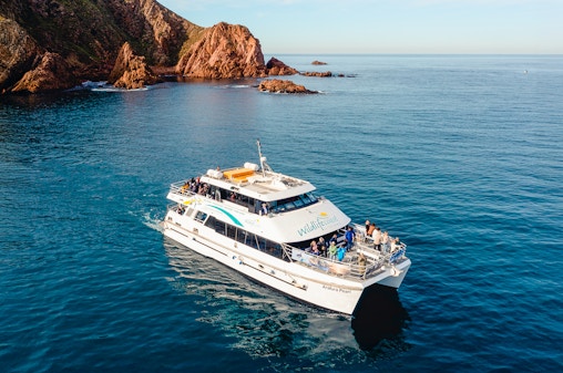 Cape Woolamai Morning Cruise at Phillip Island