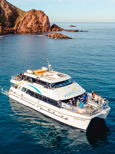Cruise boat near Cape Woolamai, Phillip Island, with passengers enjoying Wildlife Coast Cruises.