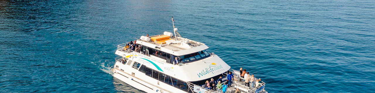 Cape Woolamai ochtendcruise bij Phillip Island