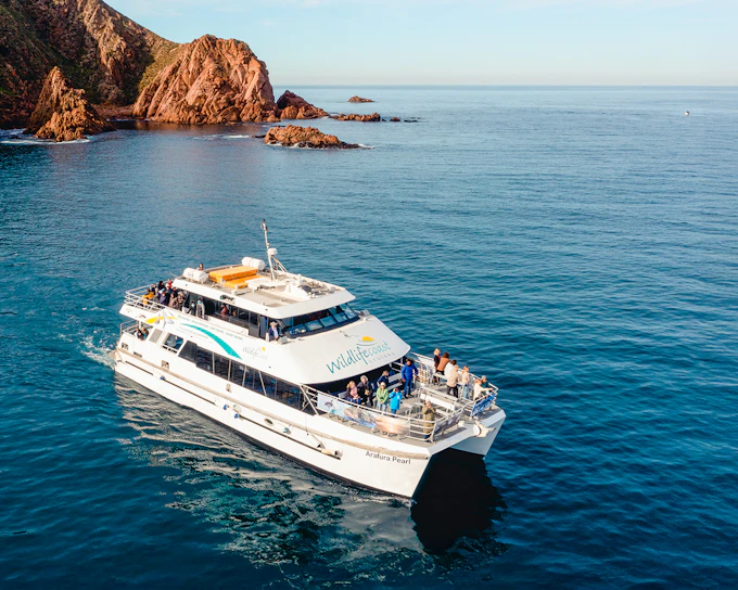 Cape Woolamai Morning Cruise at Phillip Island