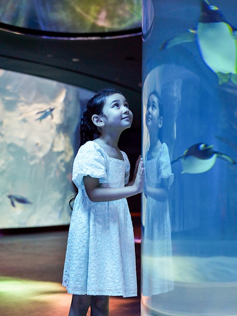 Girl watching penguins swim at Bird Paradise, Singapore.