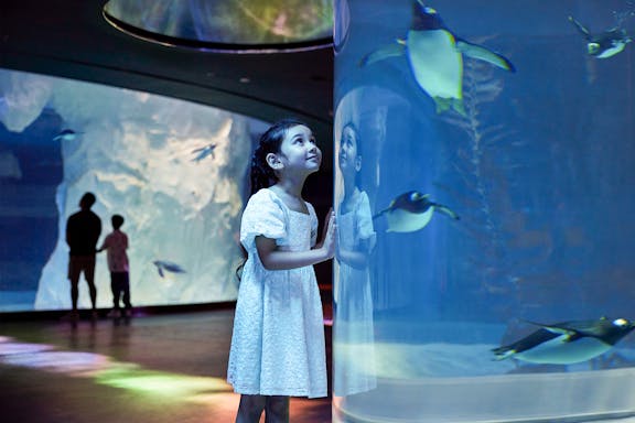 tickets to bird paradise in singapore-9