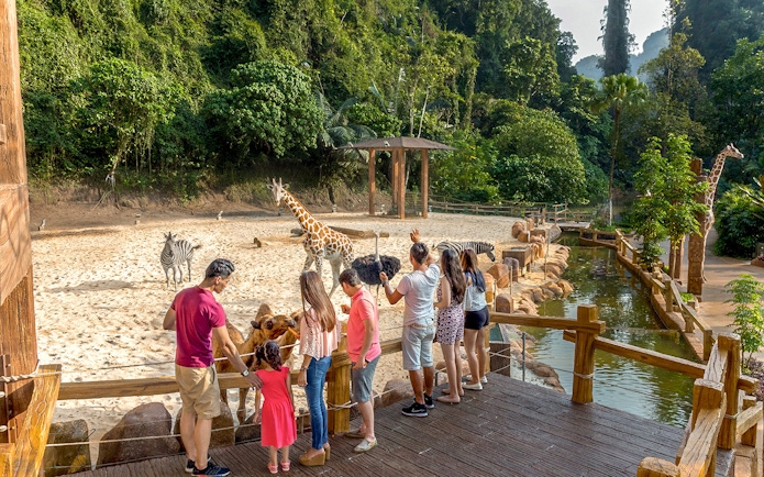 Visitors observing giraffes and zebras at Sunway Lost World of Tambun, Malaysia.
