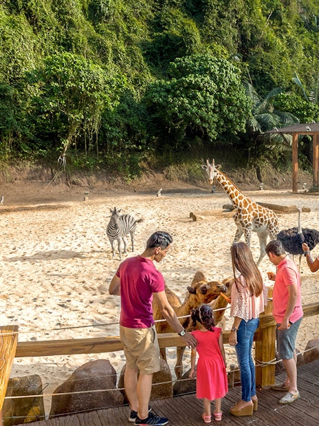 Visitors observing giraffes and zebras at Sunway Lost World of Tambun, Malaysia.