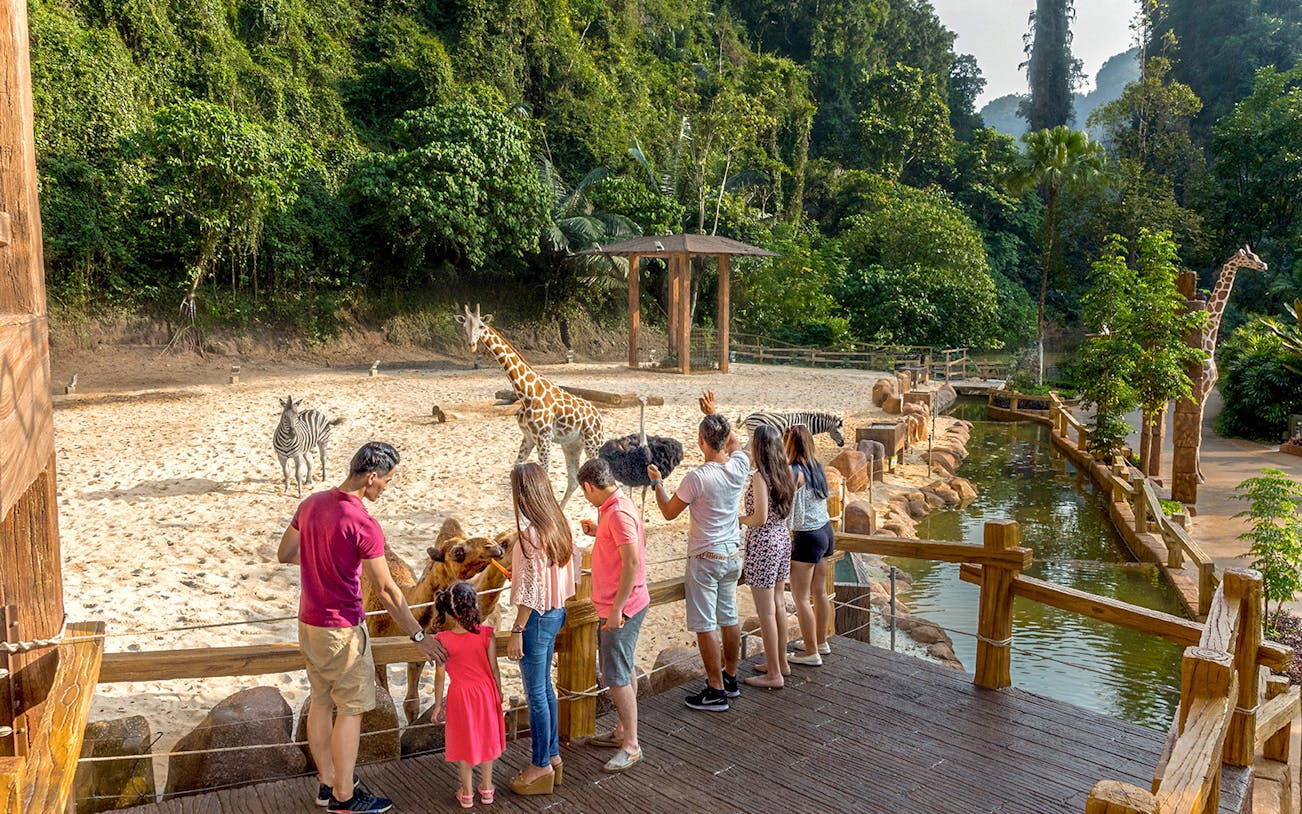 Visitors observing giraffes and zebras at Sunway Lost World of Tambun, Malaysia.