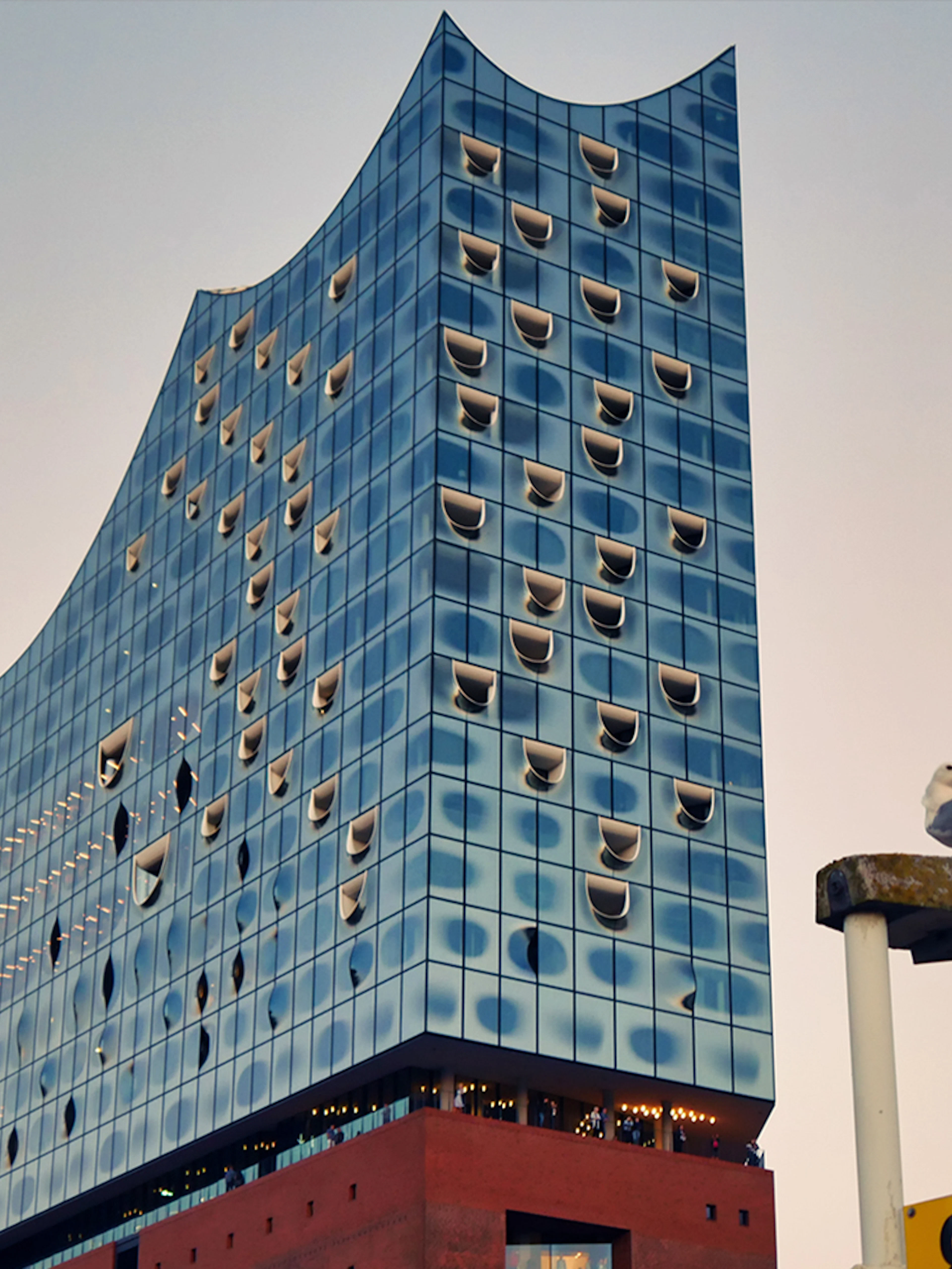 Elbphilharmonie Hamburg facade with seagull perched nearby.