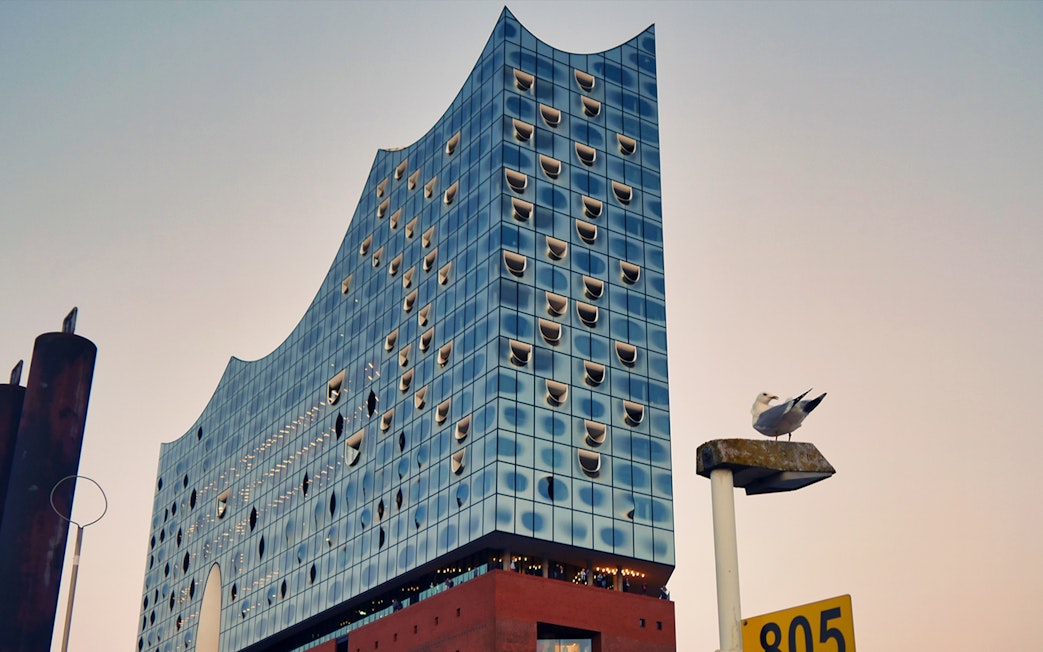 Elbphilharmonie Hamburg facade with seagull perched nearby.