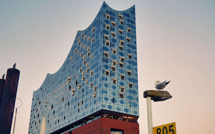 Elbphilharmonie Hamburg facade with seagull perched nearby.