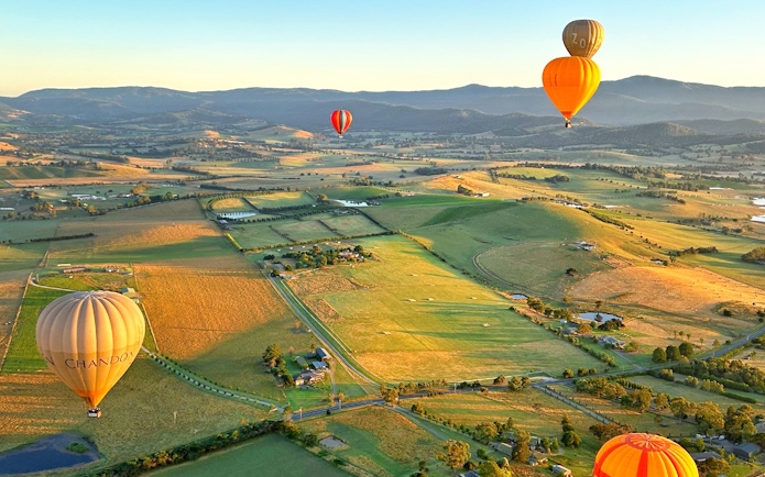 Hot air balloons floating over Yarra Valley at sunrise, showcasing expansive vineyards and rolling hills.