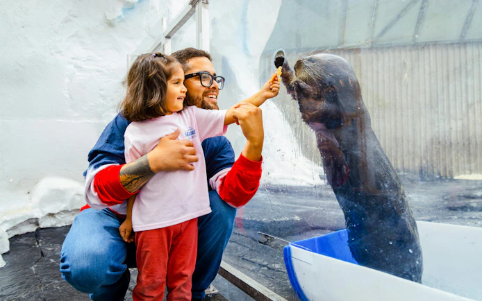 Child feeding sea otter at SeaWorld San Diego.