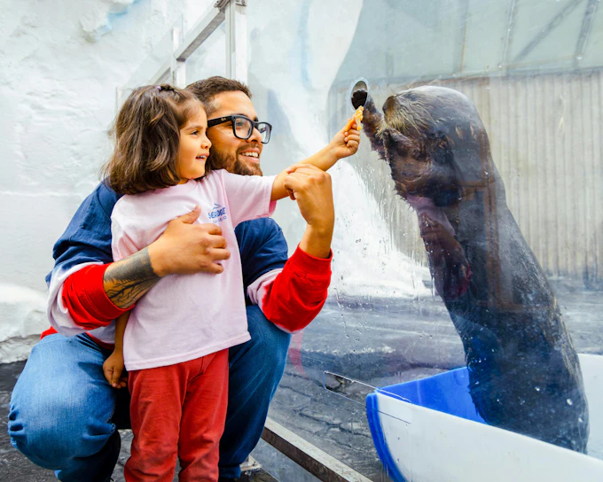 SeaWorld San Diego: Entry Tickets with All-Day Dining Add-On