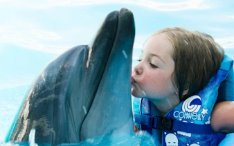 premium 10 minutes dolphin swimming experience - hurghada-10
