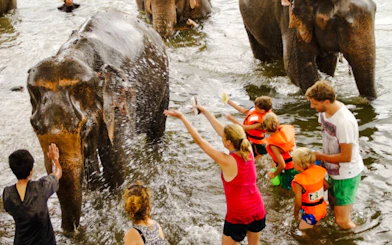 Elephants World Elephant Care Experience in Kanchanaburi with River Kwai Longtail Boat